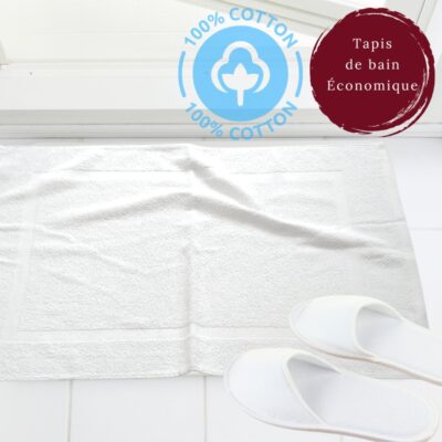 Tapis de Bain: Confort et Économie à Chaque Douche